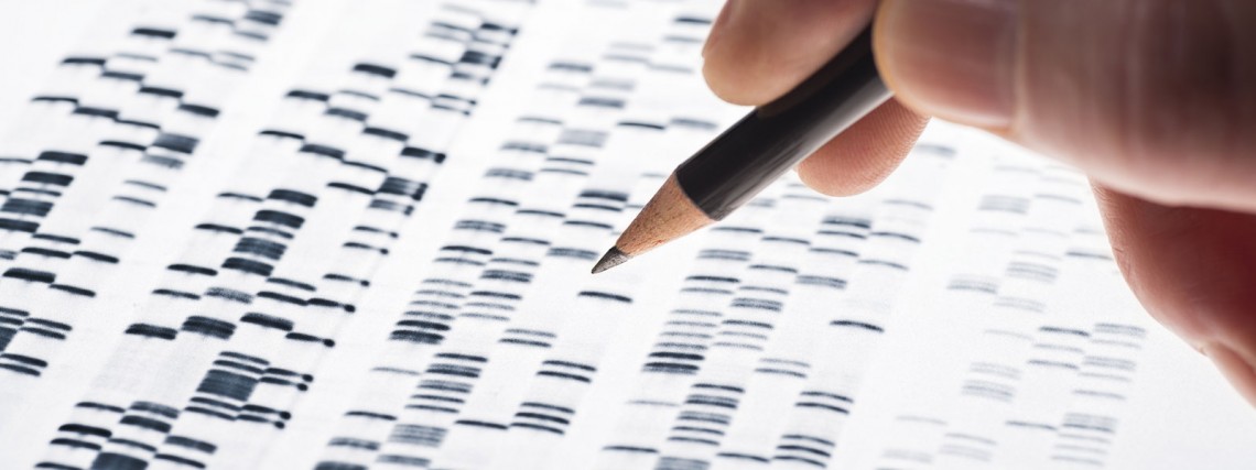 La tecnología tras la genealogía en la red